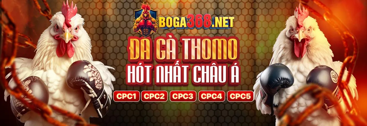 Các loại kèo cược đá gà phổ biến tại K89